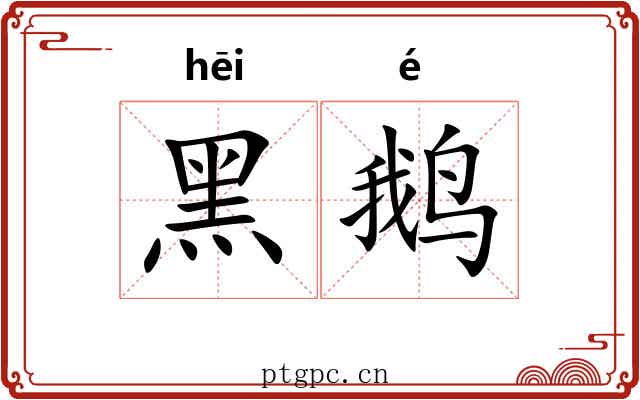 黑鹅