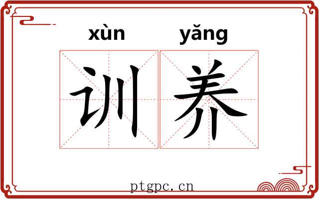 训养 训养