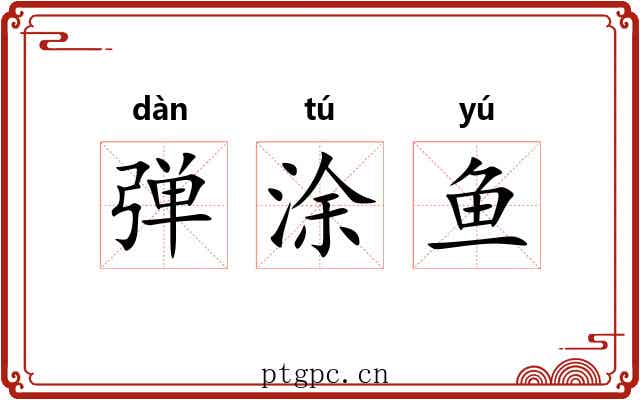 弹涂鱼