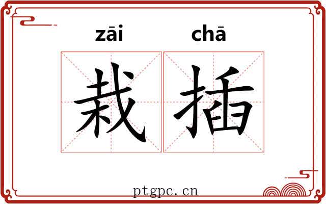 栽插