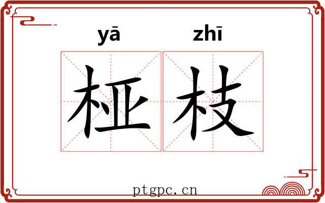 桠枝