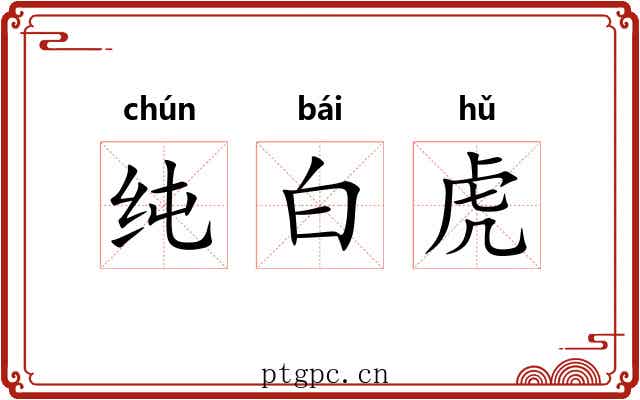 纯白虎 纯白虎