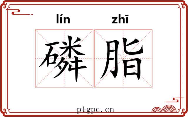 磷脂
