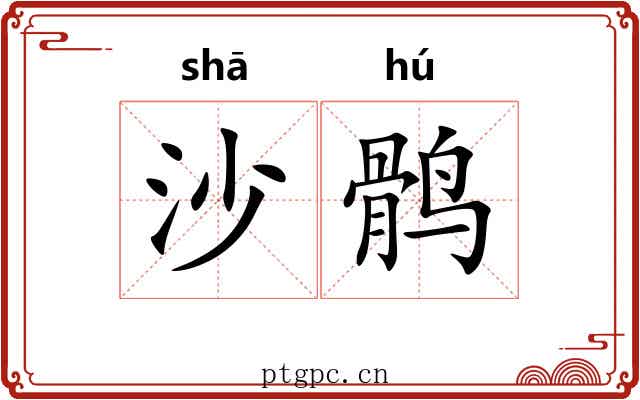 沙鹘