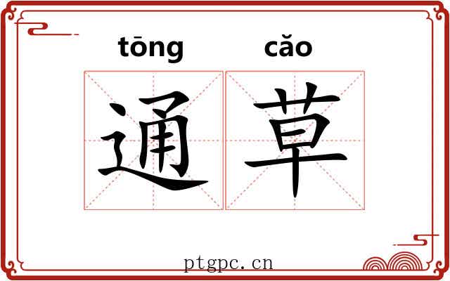 通草 通草