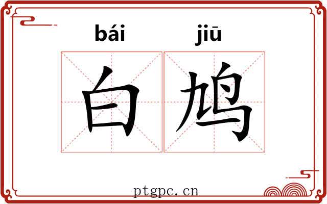 白鸠 白鸠