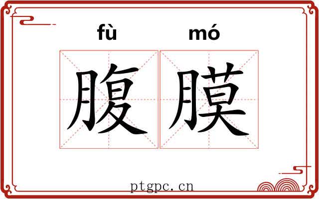 腹膜