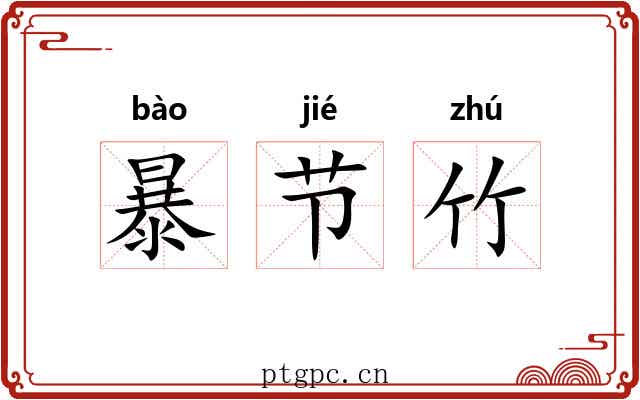 暴节竹 暴节竹