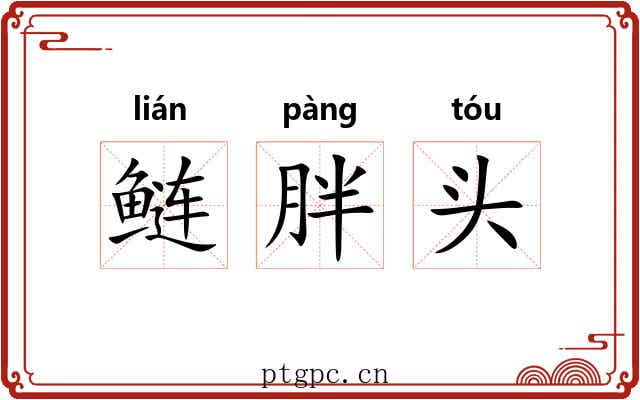 鲢胖头 鲢胖头