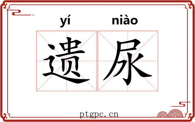 遗尿 遗尿