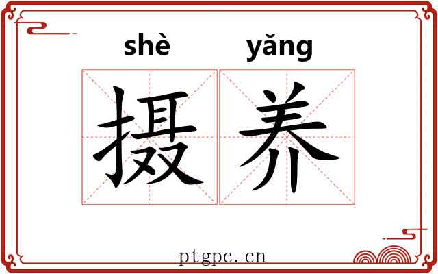 摄养