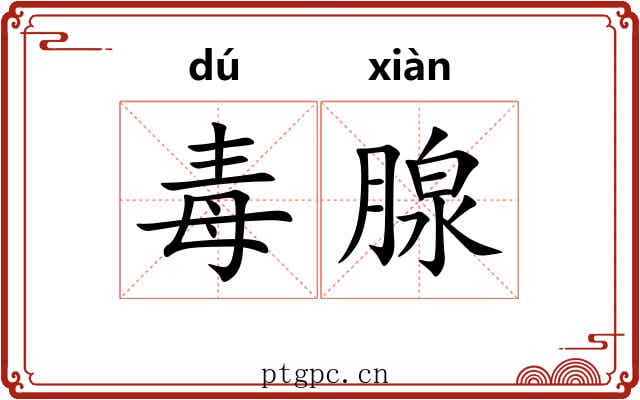 毒腺