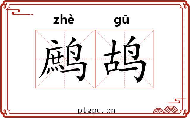 鹧鸪