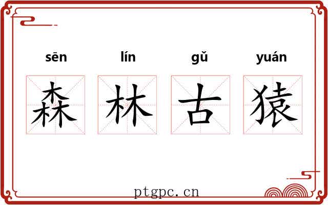 森林古猿 森林古猿