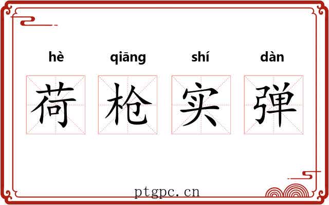 荷枪实弹 荷枪实弹