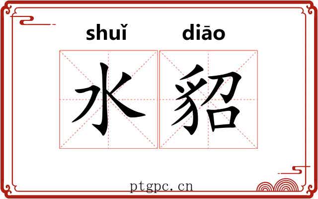 水貂