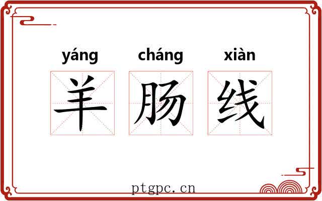 羊肠线 羊肠线