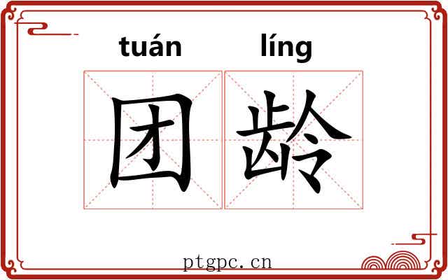 团龄