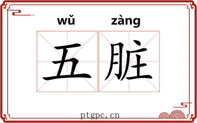 五脏 五脏