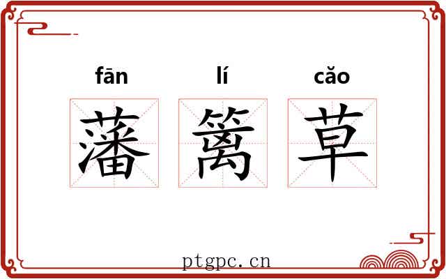 藩篱草