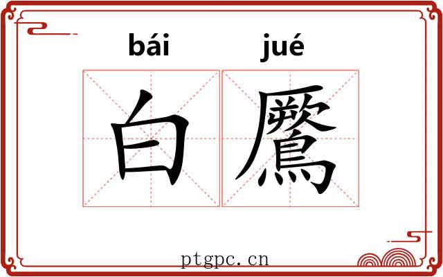 白鷢