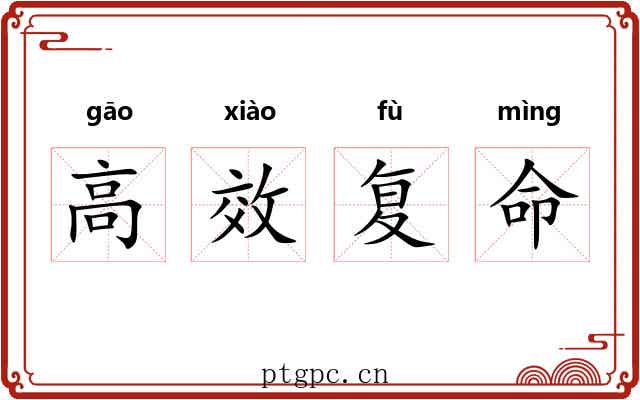 高效复命