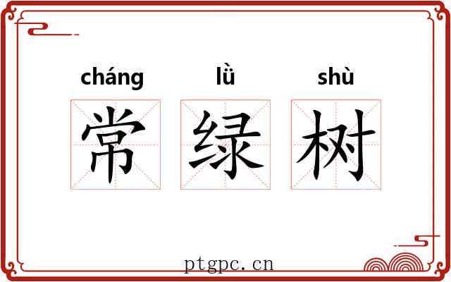 常绿树 常绿树