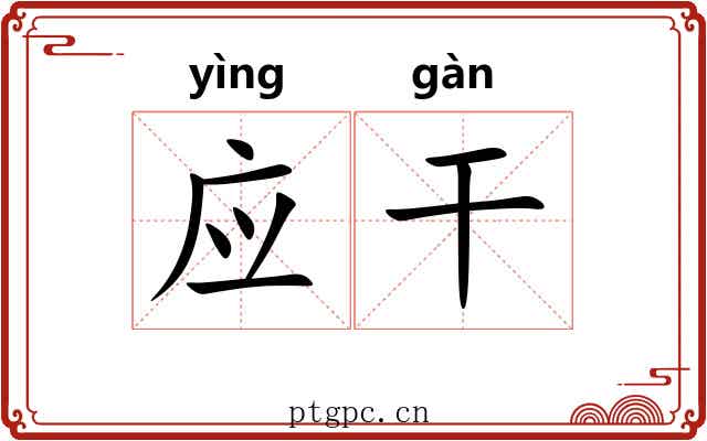 应干 应干