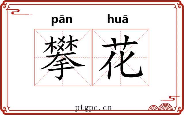 攀花 攀花