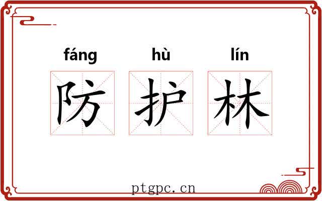防护林 防护林