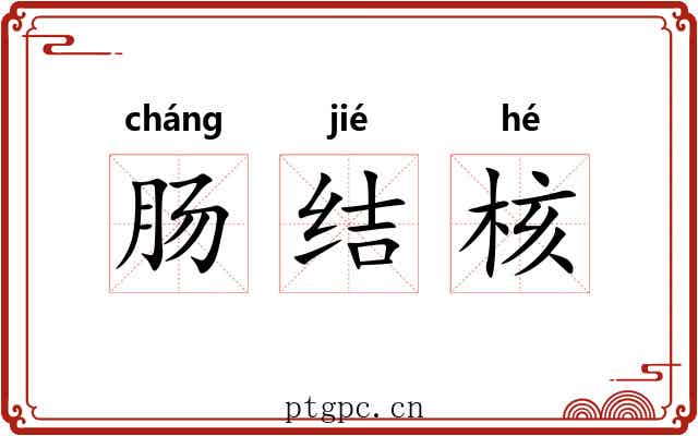 肠结核 肠结核