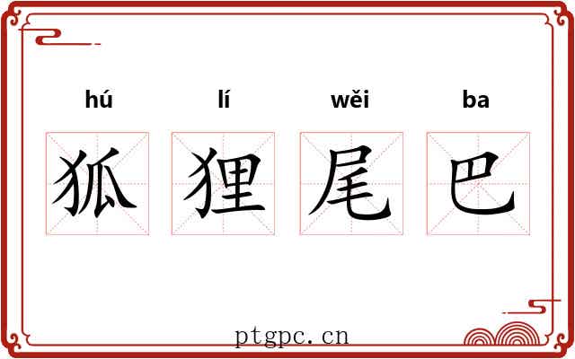 狐狸尾巴 狐狸尾巴