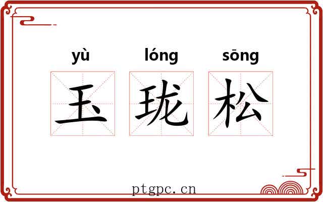 玉珑松 玉珑松