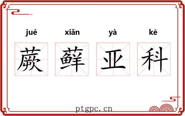 蕨藓亚科 蕨藓亚科