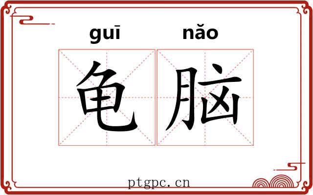 龟脑 龟脑
