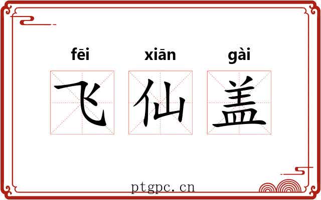 飞仙盖 飞仙盖