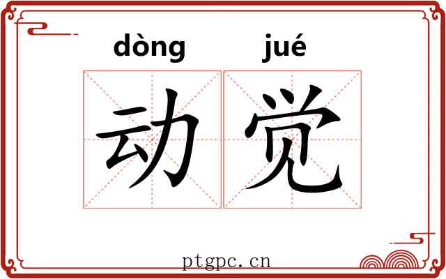 动觉 动觉