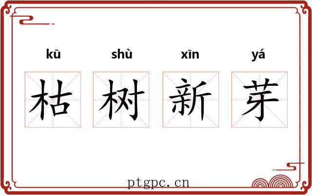 枯树新芽 枯树新芽