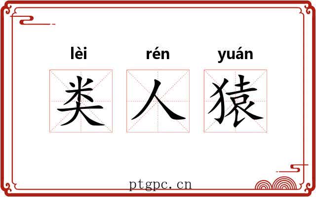 类人猿