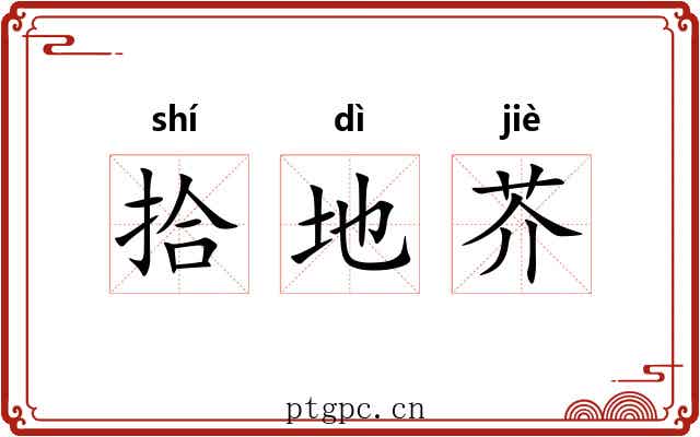 拾地芥 拾地芥