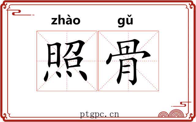 照骨 照骨