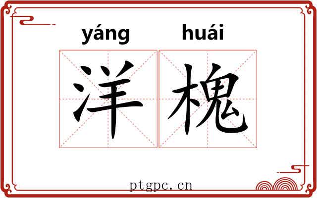 洋槐 洋槐
