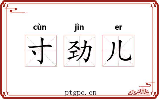 寸劲儿 寸劲儿