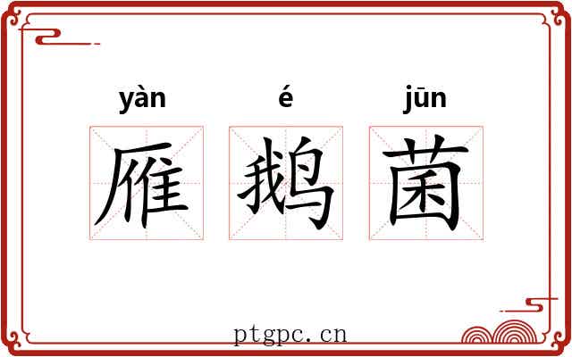 雁鹅菌 雁鹅菌