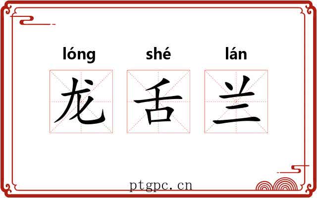 龙舌兰 龙舌兰