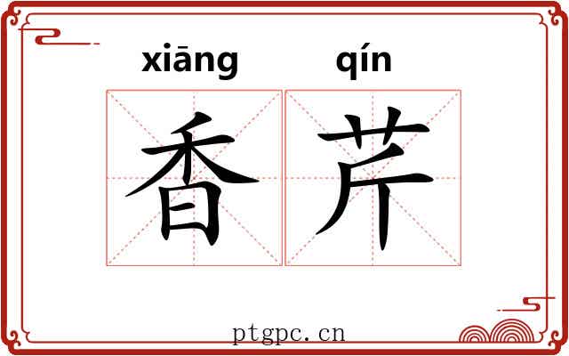 香芹 香芹