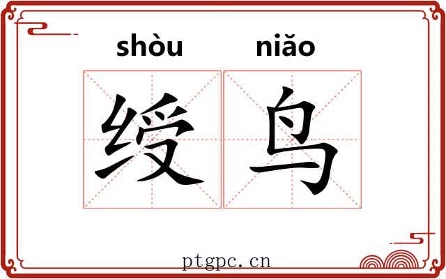 绶鸟