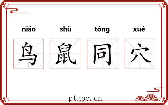 鸟鼠同穴 鸟鼠同穴