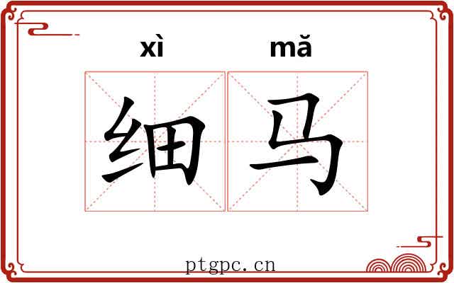 细马 细马