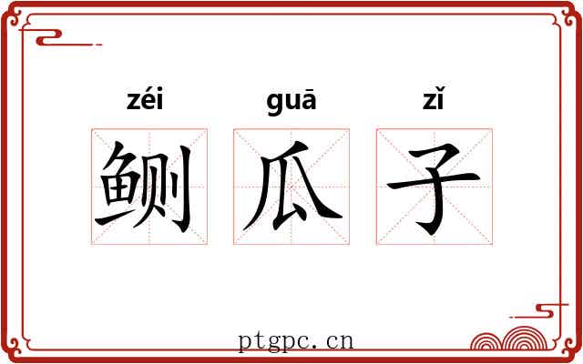 鲗瓜子